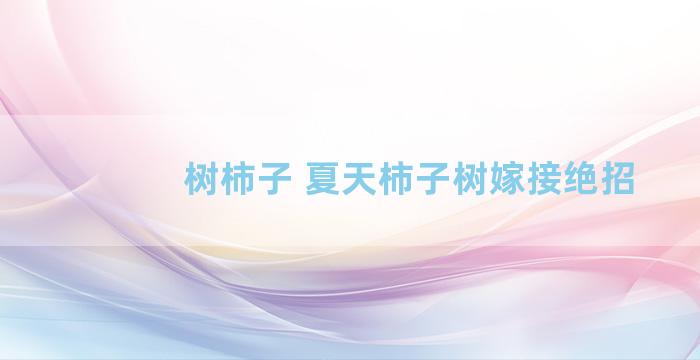 树柿子 夏天柿子树嫁接绝招